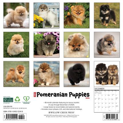 Willow Creek Pomeriaan Puppies Kalender 2026