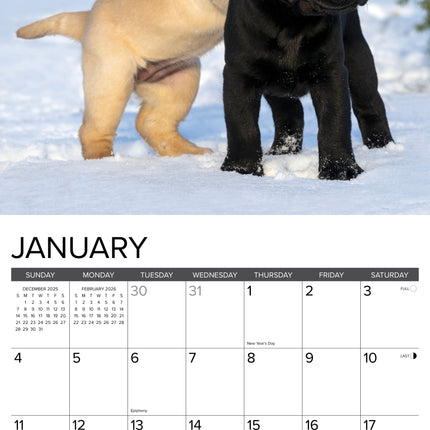 Willow Creek Puppies Kalender 2026