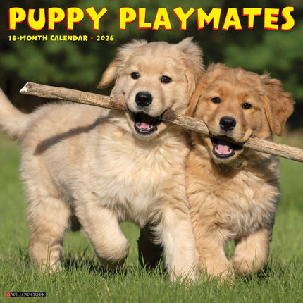 Willow Creek Puppies Kalender 2026