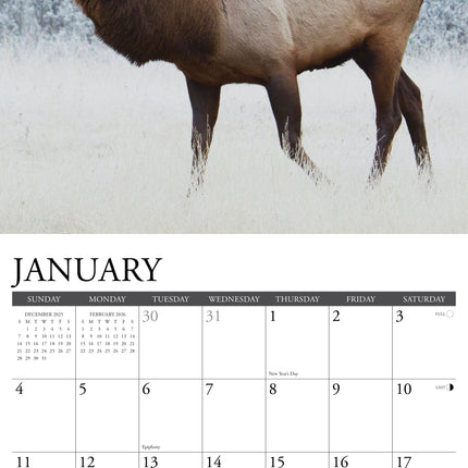 Willow Creek Rendier Kalender 2026