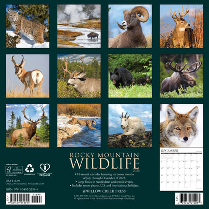 Willow Creek Rocky Mountain Wildlife Kalender 2026