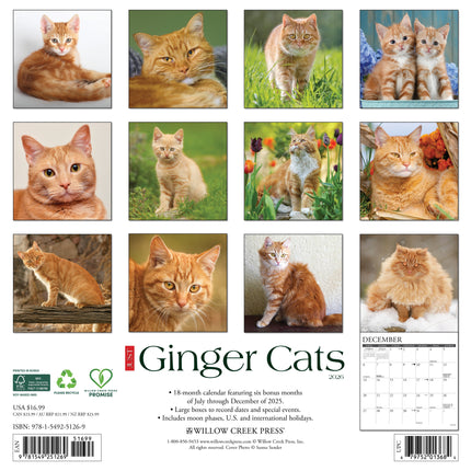 Willow Creek Rode Katten Kalender 2026