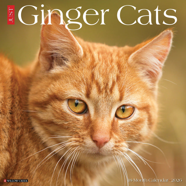 Willow Creek Rode Katten Kalender 2026