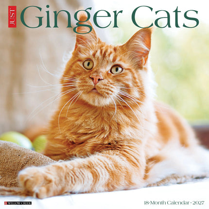 Willow Creek Rode Katten Kalender 2027