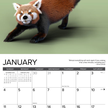 Willow Creek Rode Panda Yoga Kalender 2026