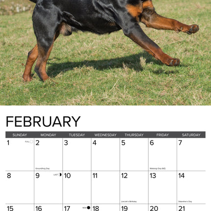 Willow Creek Rottweiler Kalender 2026