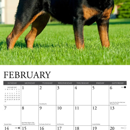 Willow Creek Rottweiler Kalender 2027