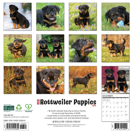 Willow Creek Rottweiler Puppies Kalender 2026