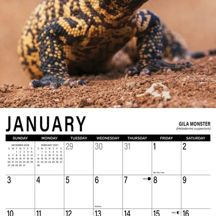 Willow Creek Scales Kalender 2027
