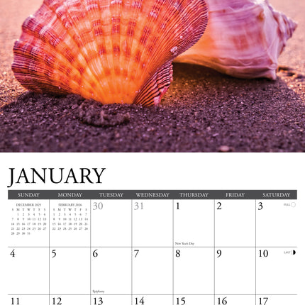 Willow Creek Schelpen Kalender 2026