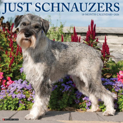 Willow Creek Schnauzer Kalender 2027