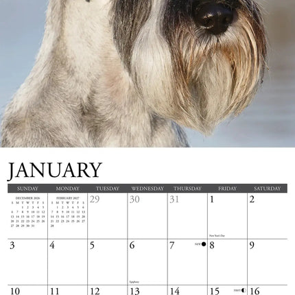 Willow Creek Schnauzer Kalender 2027