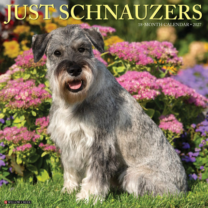 Willow Creek Schnauzer Kalender 2027