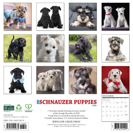 Willow Creek Schnauzer Puppies Kalender 2026