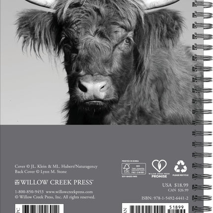 Willow Creek Schotse Hooglanders Agenda 2027