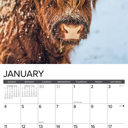 Willow Creek Schotse Hooglanders Kalender 2027