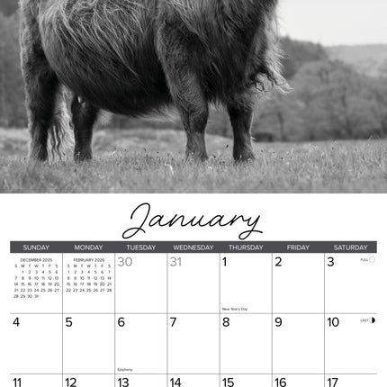 Willow Creek Schotse Hooglanders (Zwart/Wit) Kalender 2026