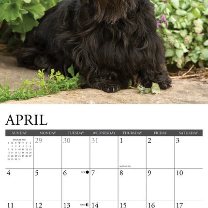 Willow Creek Schotse Terrier Kalender 2027