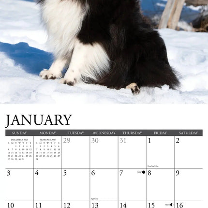 Willow Creek Shetland Sheepdog Kalender 2027