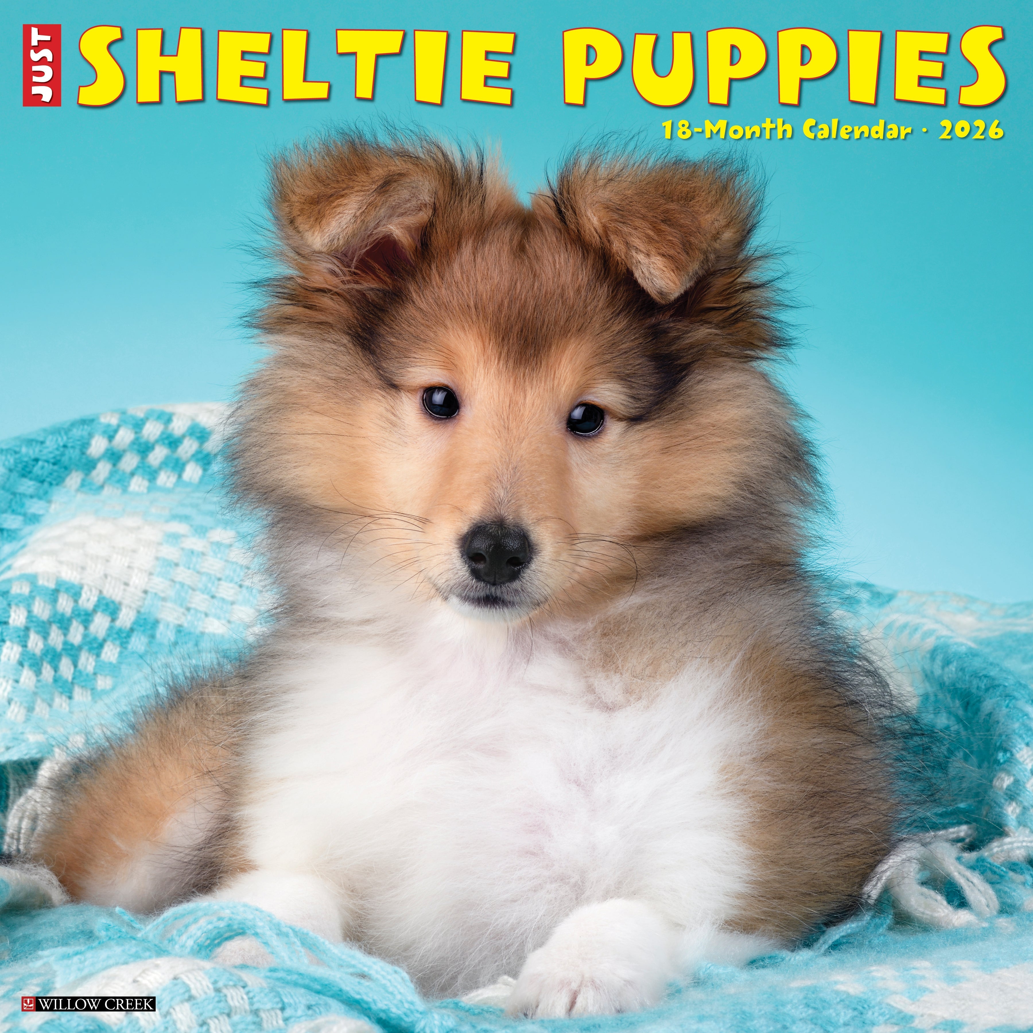 Shetland Sheepdog Puppies Calendar 2026 - Main Image