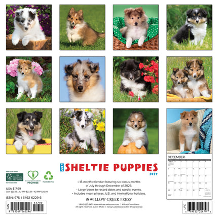 Willow Creek Shetland Sheepdog Puppies Kalender 2027