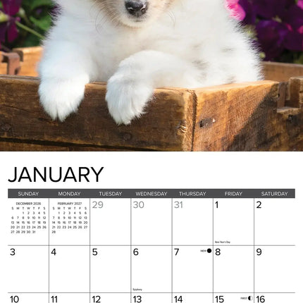 Willow Creek Shetland Sheepdog Puppies Kalender 2027