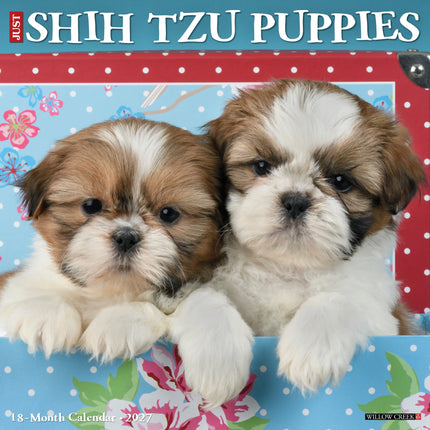 Willow Creek Shih Tzu Puppies Kalender 2027