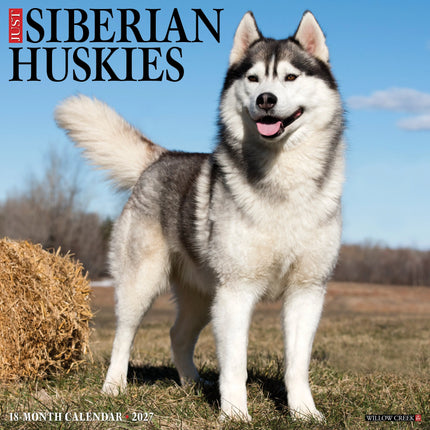 Willow Creek Siberische Husky Kalender 2027