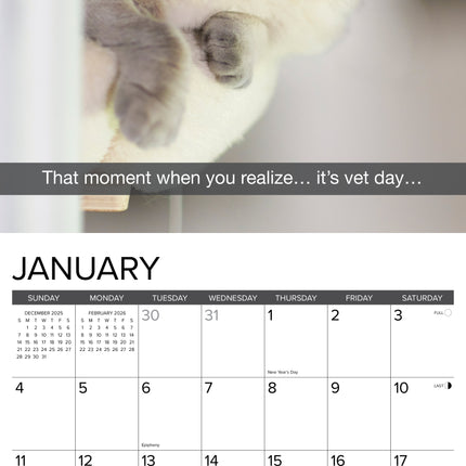 Willow Creek Snapcats Kalender 2026