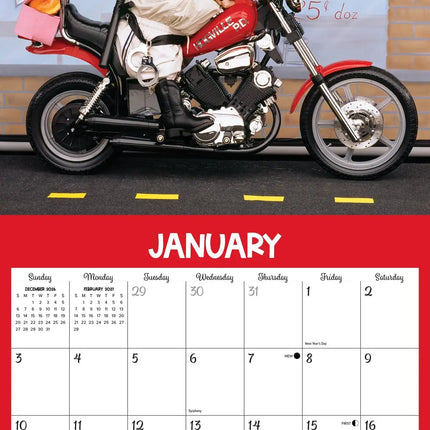 Willow Creek Spelende Varkens Kalender 2027