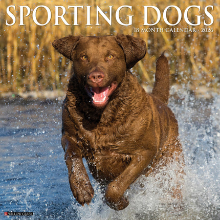 Willow Creek Sportieve Honden Kalender 2026