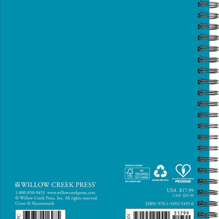 Willow Creek Strand Agenda 2026