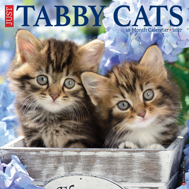 Willow Creek Tabby Katten Kalender 2027