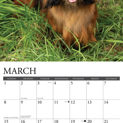 Willow Creek Teckel Kalender 2026