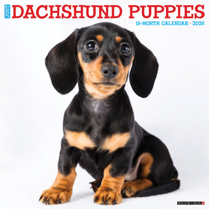 Willow Creek Teckel Puppies Kalender 2026
