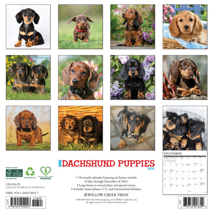 Willow Creek Teckel Puppies Kalender 2026