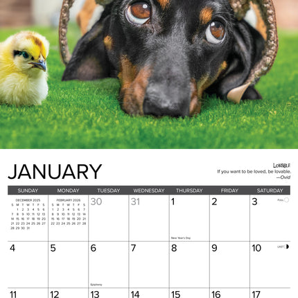 Willow Creek Teckel Rules Kalender 2026