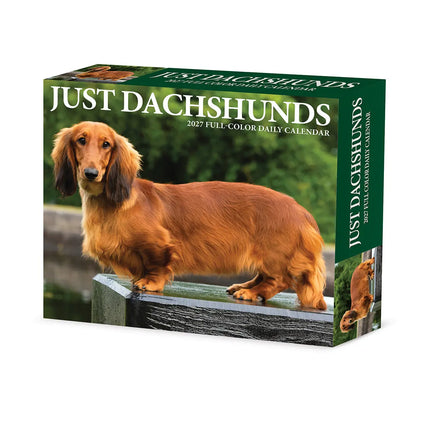 Willow Creek Teckel Scheurkalender 2027 Boxed