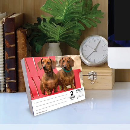 Willow Creek Teckel Scheurkalender 2027 Boxed