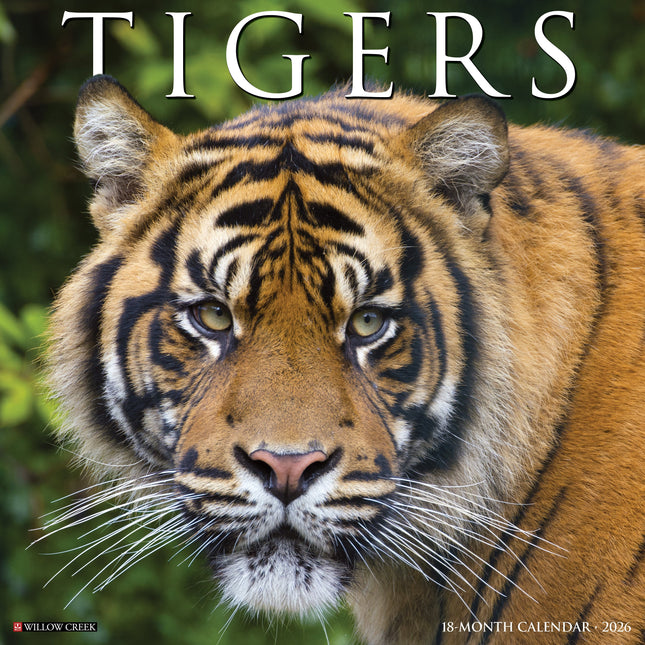 Willow Creek Tijger Kalender 2026