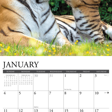 Willow Creek Tijger Kalender 2026