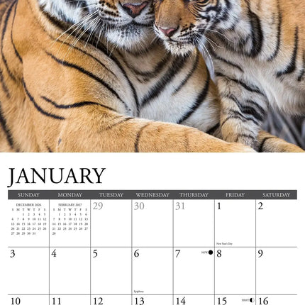 Willow Creek Tijger Kalender 2027