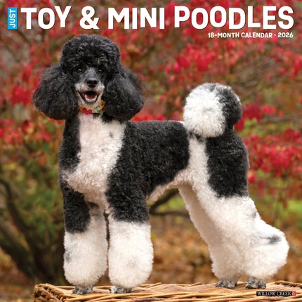 Willow Creek Toy en Miniatuur Poedel Kalender 2026