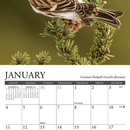 Willow Creek Tuinvogel Kalender 2026