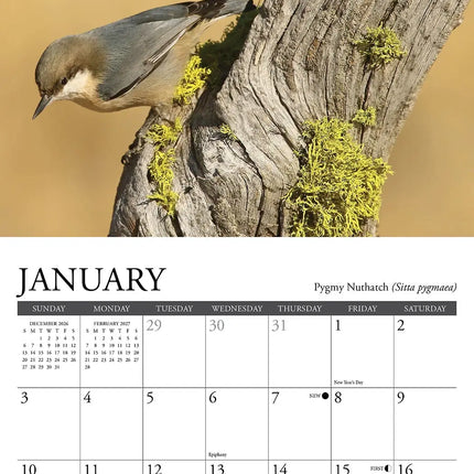 Willow Creek Tuinvogel Kalender 2027 Mini