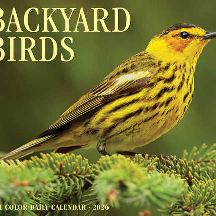 Willow Creek Tuinvogels Scheurkalender 2027 Boxed