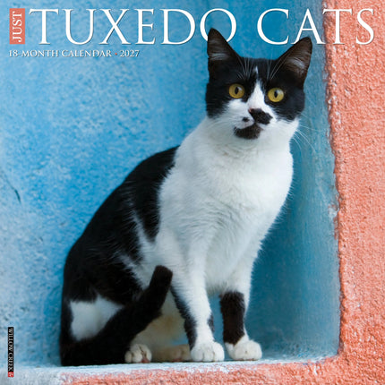 Willow Creek Tuxedo Katten Kalender 2027