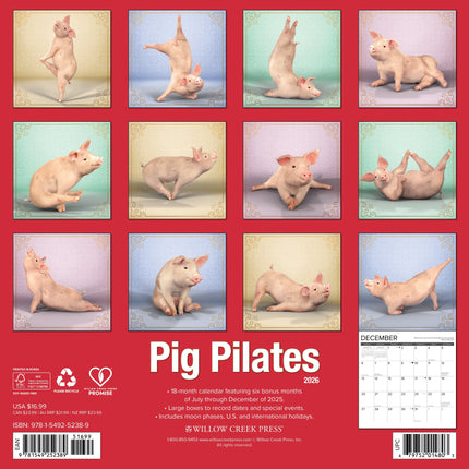Willow Creek Varken Pilates Kalender 2026