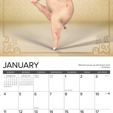 Willow Creek Varken Pilates Kalender 2026