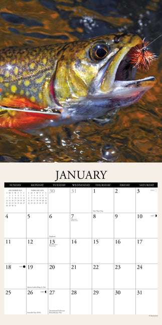 Willow Creek Vissers Kalender 2026